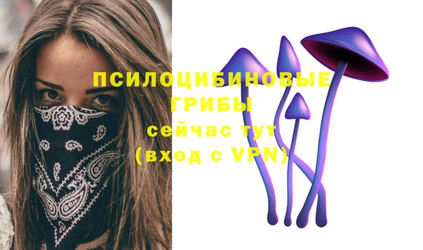 spice Волосово